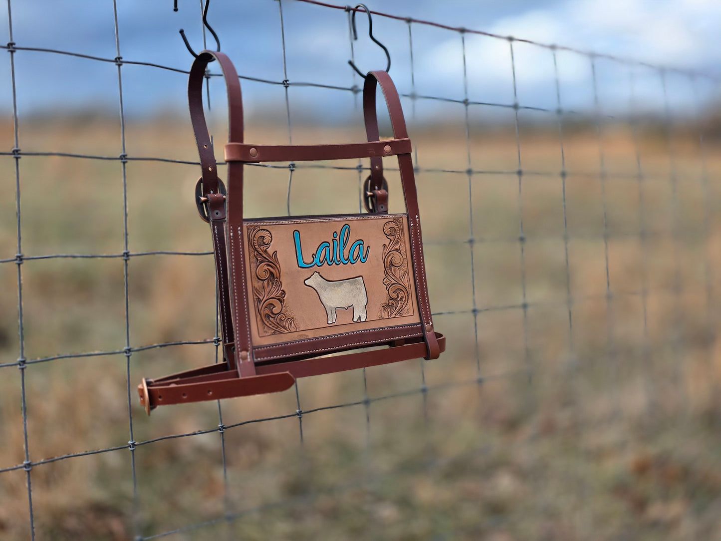 Custom Exhibitor Livestock Show Harness – Made to Order