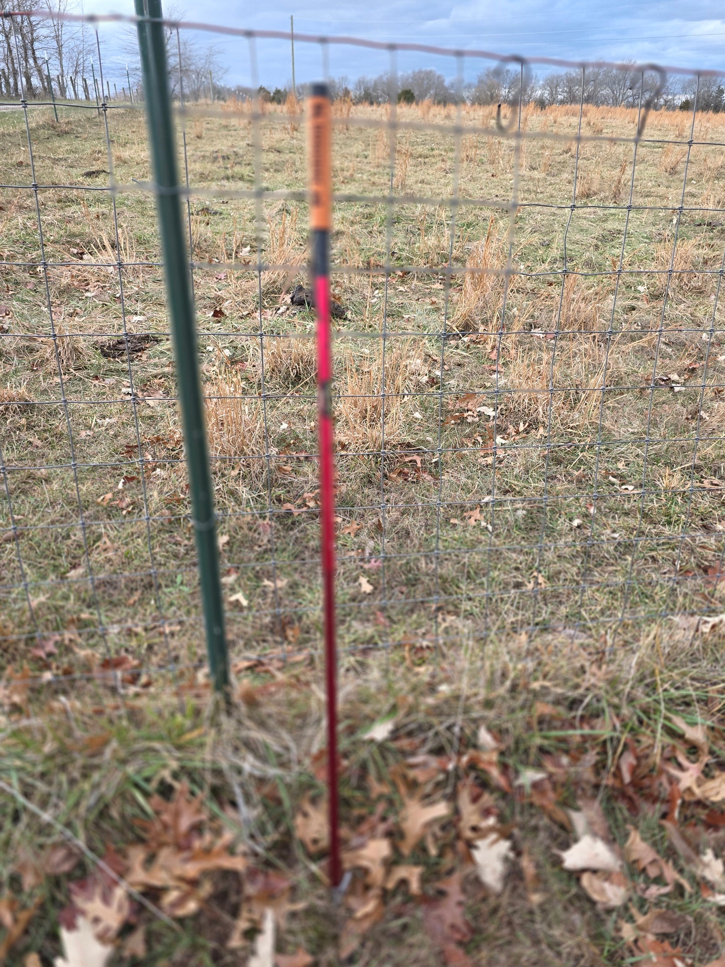 Custom Leather Show Stick Wraps - Laser Engraved