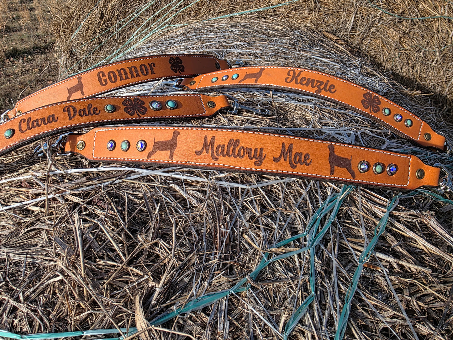 Custom Laser Engraved Show Goat Collar & Chain