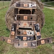 Award Cowhide Coat Hanger