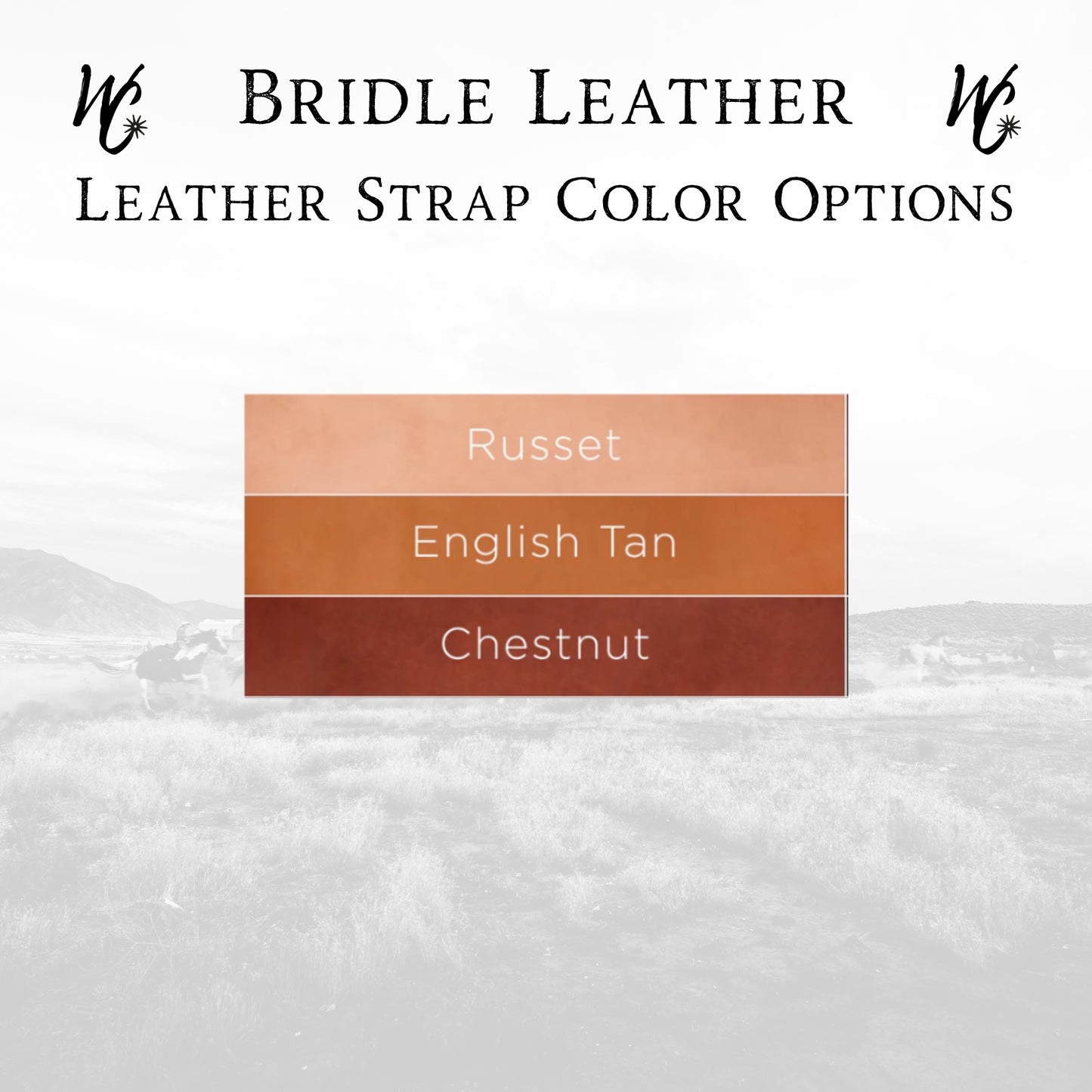 Custom Laser Engraved Show Goat Collar & Chain