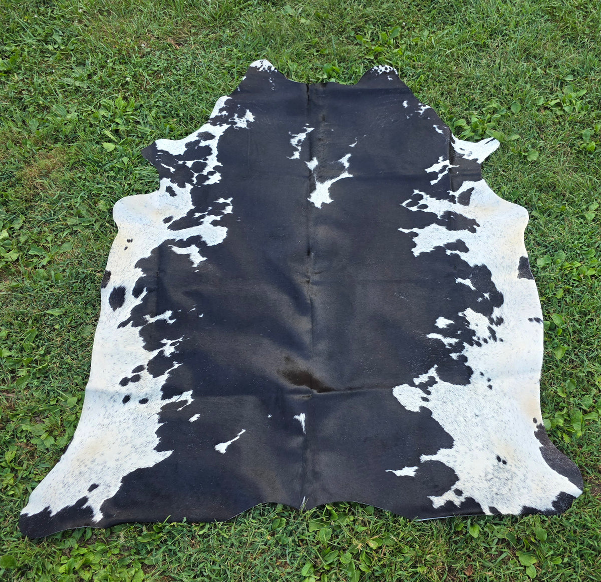 Black & White Speckled Brazilian Cowhide Rug – Genuine Hair-On Hide