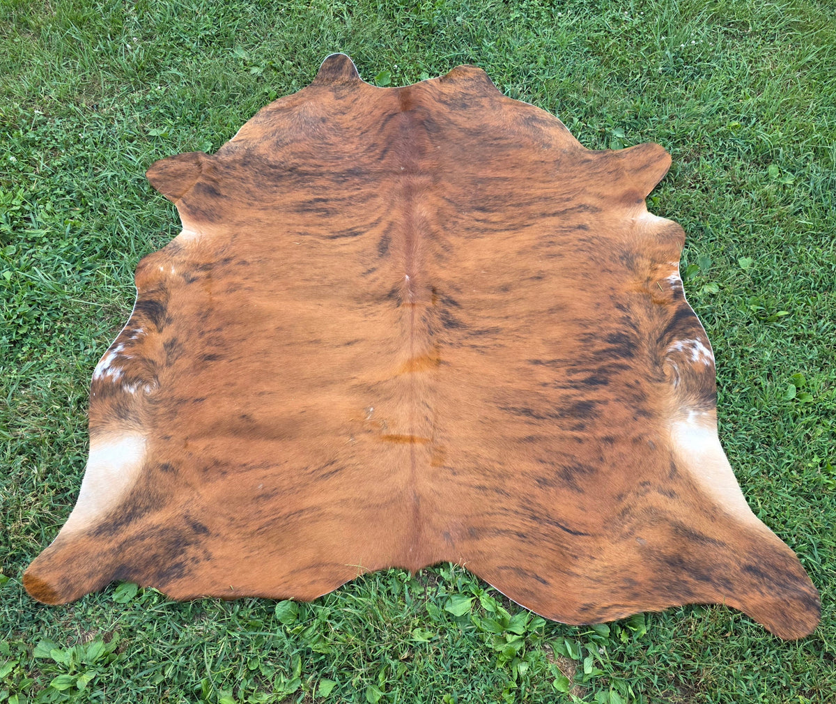 Red Brindle Brazilian Cowhide Rug – Natural Character Hide